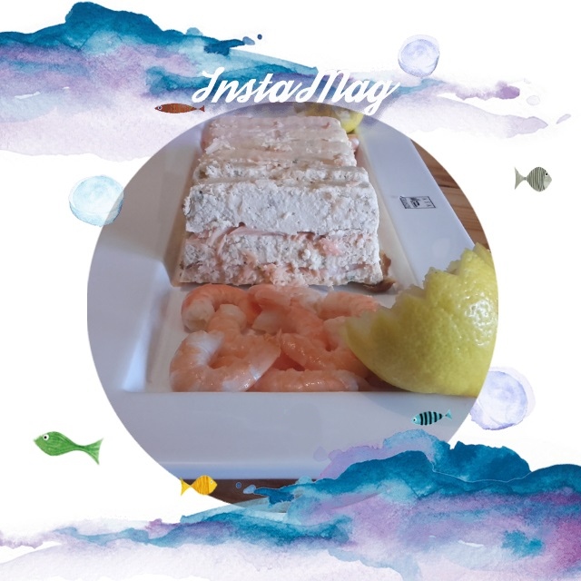 Terrine aux deux saumons