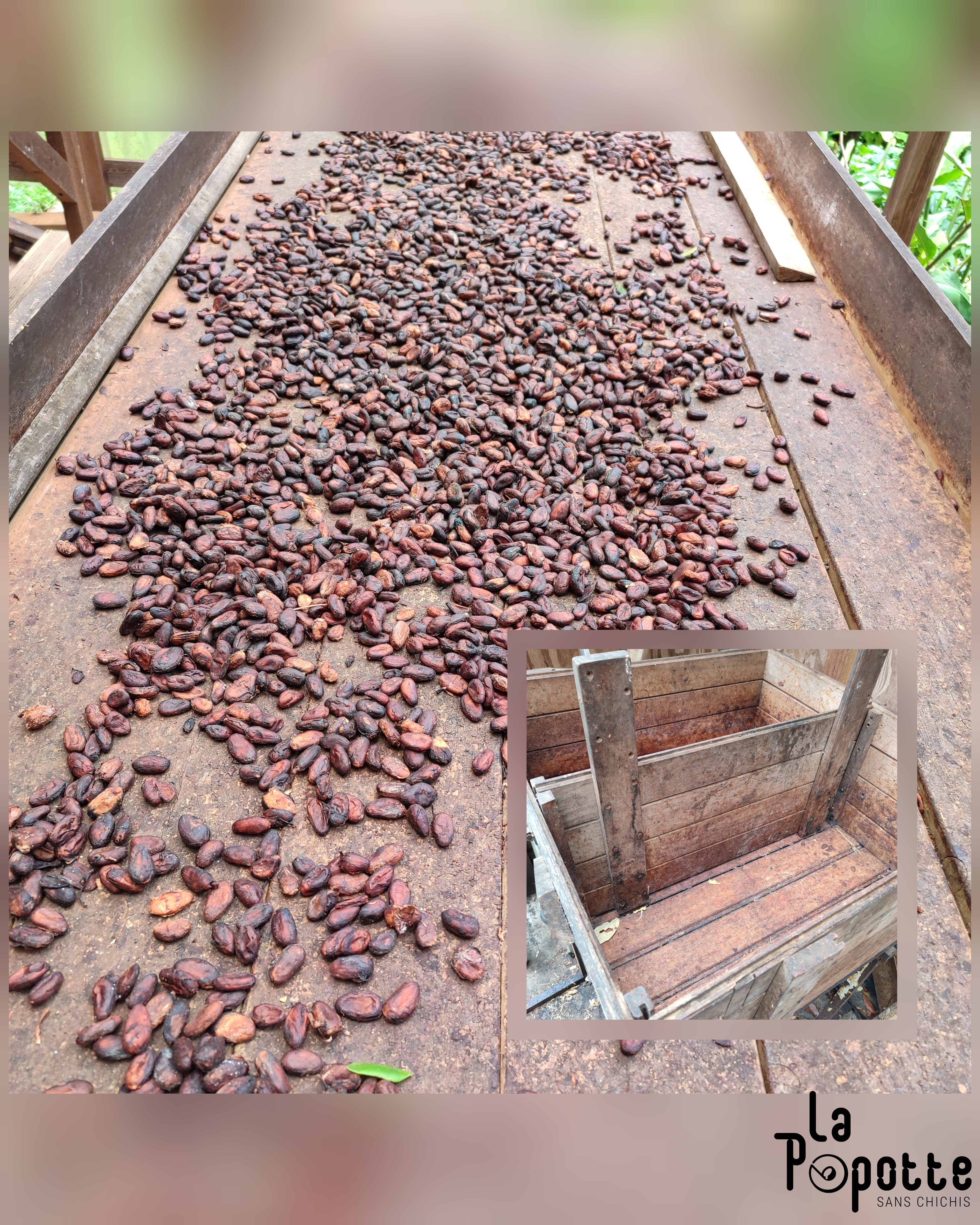Séchage fermentation