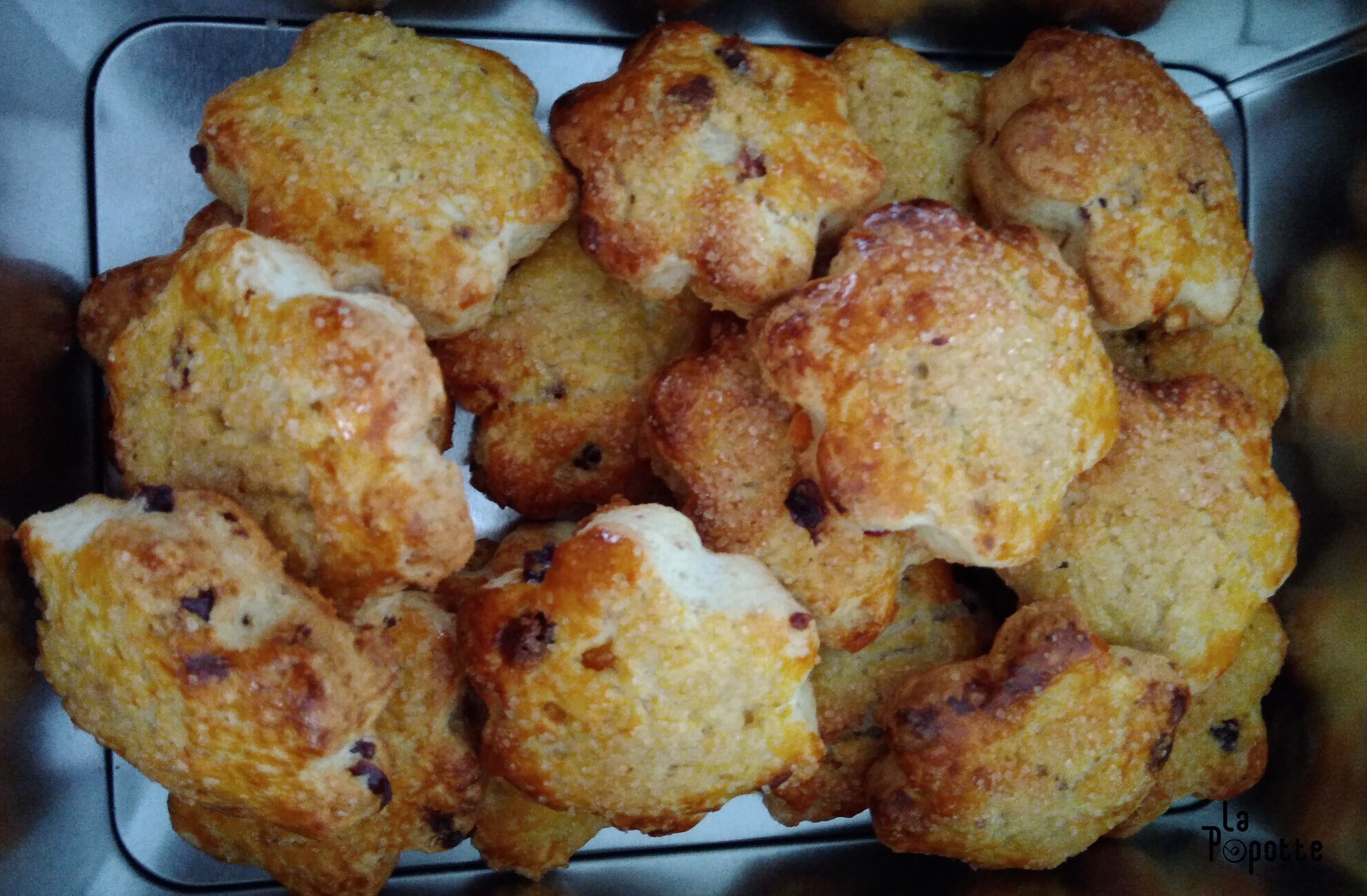 Scones oranges confites & cranberries